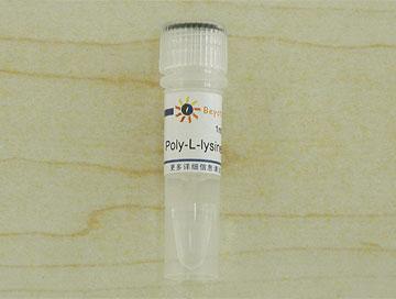 Poly-L-lysine溶液